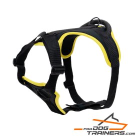 Perfect Fit Black Nylon Harness for Safe and Comfortable Walking (image for) Perfect Fit Black Nylon Harness for Safe and Comfortable Walking