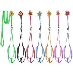 Step-In Nylon Harness + Optional Flower Leash (image for) Step-In Nylon Harness + Optional Flower Leash