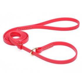 Durable Red Biothane American Bulldog Leash and Collar Combo (image for) Durable Red Biothane American Bulldog Leash and Collar Combo