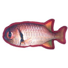 11" Tropical Snapper (image for) 11" Tropical Snapper