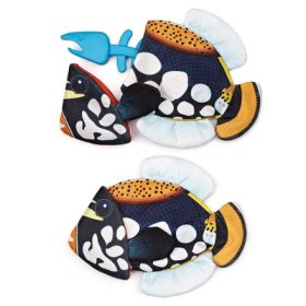 8" Tropical Crinkle/Bone Emperor Angelfish (image for) 8" Tropical Crinkle/Bone Emperor Angelfish