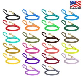 Biothane Leash 10 ft w/ Brass Hardware (image for) Biothane Leash 10 ft w/ Brass Hardware