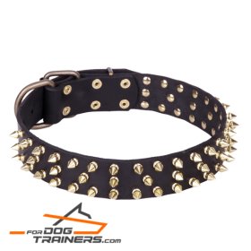 "Black Super Star" Leather Dog Collar with Brass Decorations (image for) "Black Super Star" Leather Dog Collar with Brass Decorations