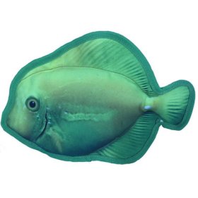 11" Tropical Surgeonfish (image for) 11" Tropical Surgeonfish