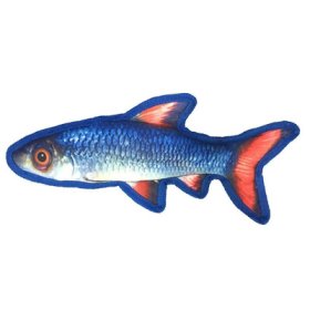 12" Tropical Shiner (image for) 12" Tropical Shiner