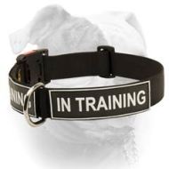 American Bulldog Identity Collar - Nylon Collar With Patches (image for) American Bulldog Identity Collar - Nylon Collar With Patches