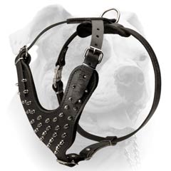 Spiked Dog Harness for American Bulldog-Deluxe leather harness (image for) Spiked Dog Harness for American Bulldog-Deluxe leather harness
