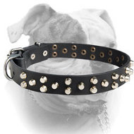 Small cuff links 3 rows American Bulldog leather dog collar (image for) Small cuff links 3 rows American Bulldog leather dog collar