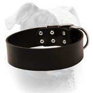 American Bulldog Leather Collar for Long Walking (image for) American Bulldog Leather Collar for Long Walking