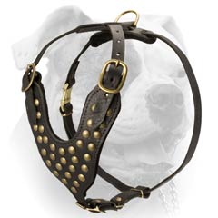 Force Leather Studded Harness For American Bulldog (image for) Force Leather Studded Harness For American Bulldog