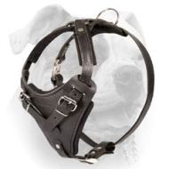 American Bulldog Leather Wide Chest Harness (image for) American Bulldog Leather Wide Chest Harness