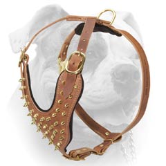 Stylish Leather Harness For American Bulldog (image for) Stylish Leather Harness For American Bulldog