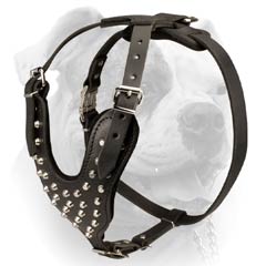 Y-shape Leather Harness For American Bulldog (image for) Y-shape Leather Harness For American Bulldog