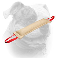 Huge American Bulldog bite tag with two sturdy handles (image for) Huge American Bulldog bite tag with two sturdy handles