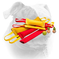 Ultimate American Bulldog Training Set With 3 Amazing Gifts (image for) Ultimate American Bulldog Training Set With 3 Amazing Gifts