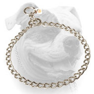 Stainless steel choke American Bulldog collar with quality label (image for) Stainless steel choke American Bulldog collar with quality label