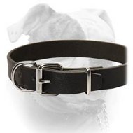 Casual Style Leather Collar For American Bulldog Breed (image for) Casual Style Leather Collar For American Bulldog Breed