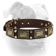 Exclusively decorated leather American Bulldog collar with massive vintage plates and pyramids (image for) Exclusively decorated leather American Bulldog collar with massive vintage plates and pyramids