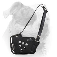 Military dogs training leather muzzle for American Bulldog (image for) Military dogs training leather muzzle for American Bulldog