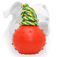 Strong rubber water ball for American Bulldog training - 2 1/3 inch (image for) Strong rubber water ball for American Bulldog training - 2 1/3 inch
