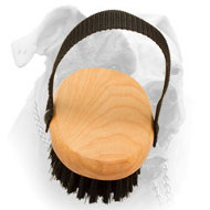 Bristle brush for American Bulldog everyday grooming (image for) Bristle brush for American Bulldog everyday grooming