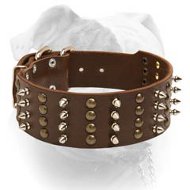 Spiky Leather Collar For American Bulldog (image for) Spiky Leather Collar For American Bulldog