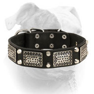 War-like leather American Bulldog collar with massive vintage plates and pyramids (image for) War-like leather American Bulldog collar with massive vintage plates and pyramids