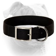 All Seasons Collar for Everyday Walking and Playing (image for) All Seasons Collar for Everyday Walking and Playing