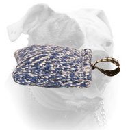 American Bulldog puppy bite tug of French Linen with a small loop (image for) American Bulldog puppy bite tug of French Linen with a small loop