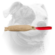Jute bite tug for training American Bulldog (image for) Jute bite tug for training American Bulldog