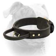 Big collar-Studs and Spikes leather dog collar for Large breeds