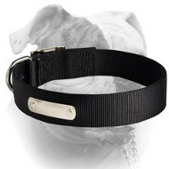 Best 2 Ply Nylon Dog Collar w/h name tag/Metal Buckle (image for) Best 2 Ply Nylon Dog Collar w/h name tag/Metal Buckle