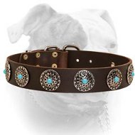 Leather Dog Collar with Silver Plated Blue Stone Circles (image for) Leather Dog Collar with Silver Plated Blue Stone Circles