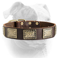 Luxury Leather Dog Collar for American Bulldog (image for) Luxury Leather Dog Collar for American Bulldog