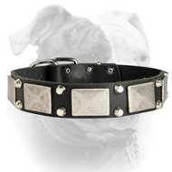 Vintage studded leather American Bulldog collar (image for) Vintage studded leather American Bulldog collar