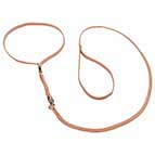 'Champion' Nylon American Bulldog show dog collar & lead combo (image for) 'Champion' Nylon American Bulldog show dog collar & lead combo