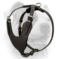 Heavy Duty Dog Harness for American Bulldog (image for) Heavy Duty Dog Harness for American Bulldog
