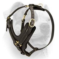 Exclusive Luxury Handcrafted Padded Leather Dog Harness (image for) Exclusive Luxury Handcrafted Padded Leather Dog Harness