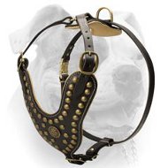 Designer Studded Leather Harness For American Bulldog (image for) Designer Studded Leather Harness For American Bulldog