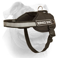 Nylon Harness With Patches For American Bulldog (image for) Nylon Harness With Patches For American Bulldog