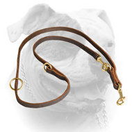 Genuine quality leather leash for training and walking American Bulldog (image for) Genuine quality leather leash for training and walking American Bulldog