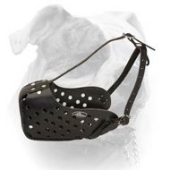 Practical Leather Training Dog Muzzle for American Bulldog (image for) Practical Leather Training Dog Muzzle for American Bulldog