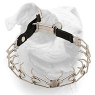 Stainless steel American Bulldog pinch prong collar with click lock buckle and nylon loop (image for) Stainless steel American Bulldog pinch prong collar with click lock buckle and nylon loop