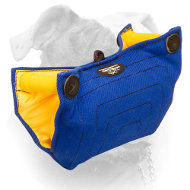 French Linen American Bulldog puppy and young dog bite builder (image for) French Linen American Bulldog puppy and young dog bite builder