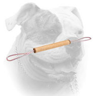 Order Now Rolled Jute Tugs with 2 handles for American Bulldog puppy training (image for) Order Now Rolled Jute Tugs with 2 handles for American Bulldog puppy training