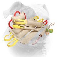 Jute bite tugs training set for American Bulldog (image for) Jute bite tugs training set for American Bulldog