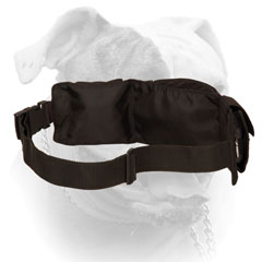 Dog Training Pouch with Waist Strap