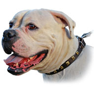 Vintage Decorative Leather Collar For American Bulldog (image for) Vintage Decorative Leather Collar For American Bulldog