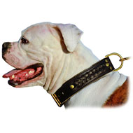 Muzzle for American Bulldog and English Bulldog – CollarDirect