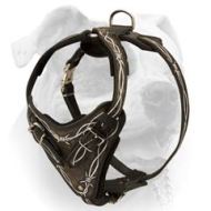 Trendy Handpainted Harness for American Bulldog (image for) Trendy Handpainted Harness for American Bulldog